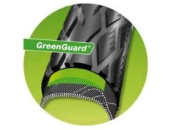 Schwalbe Marathon 650B